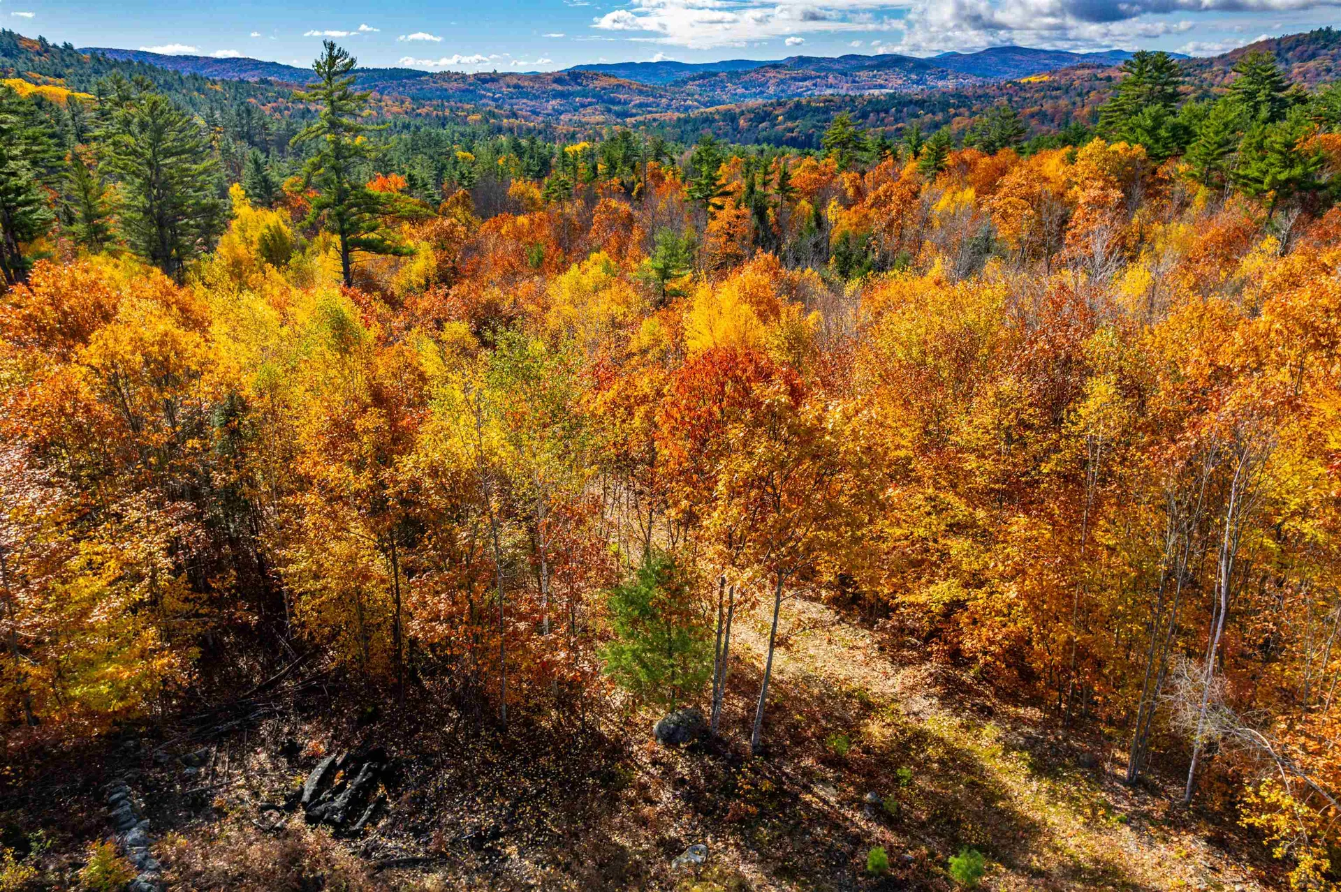 Lots 1 & 2 Hall Road Bristol NH 03222