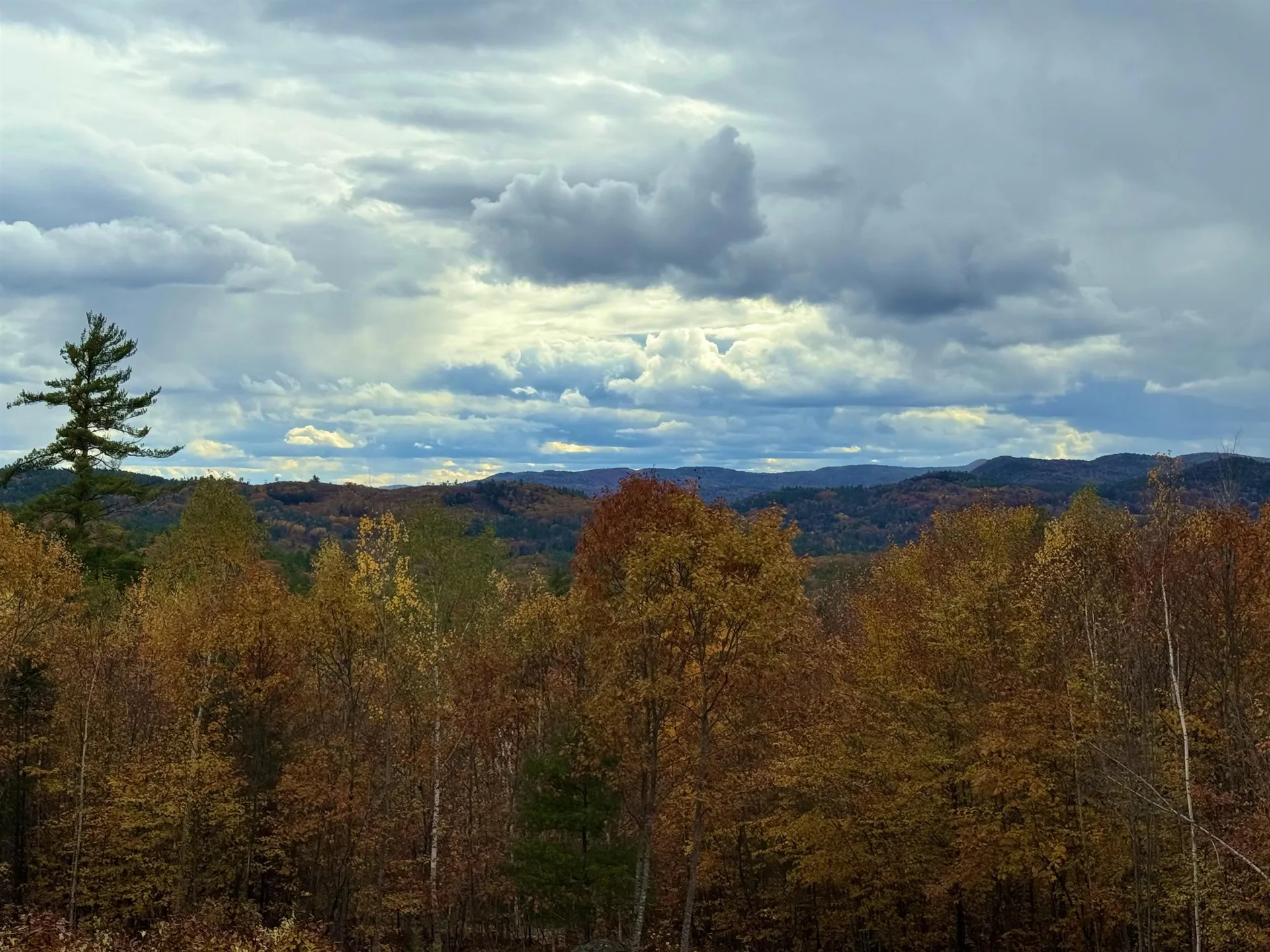 Lots 1 & 2 Hall Road Bristol NH 03222