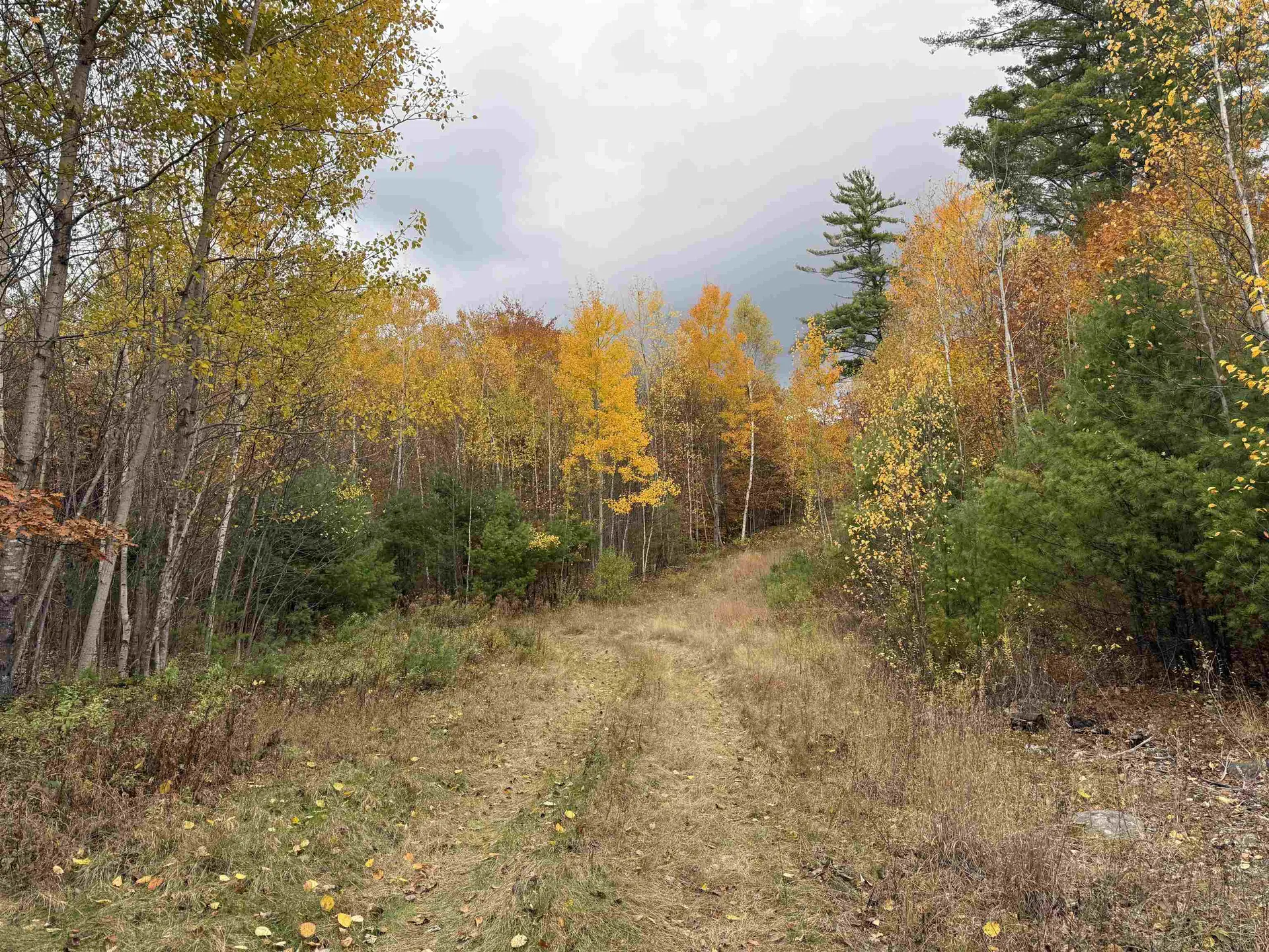 Lots 1 & 2 Hall Road Bristol NH 03222