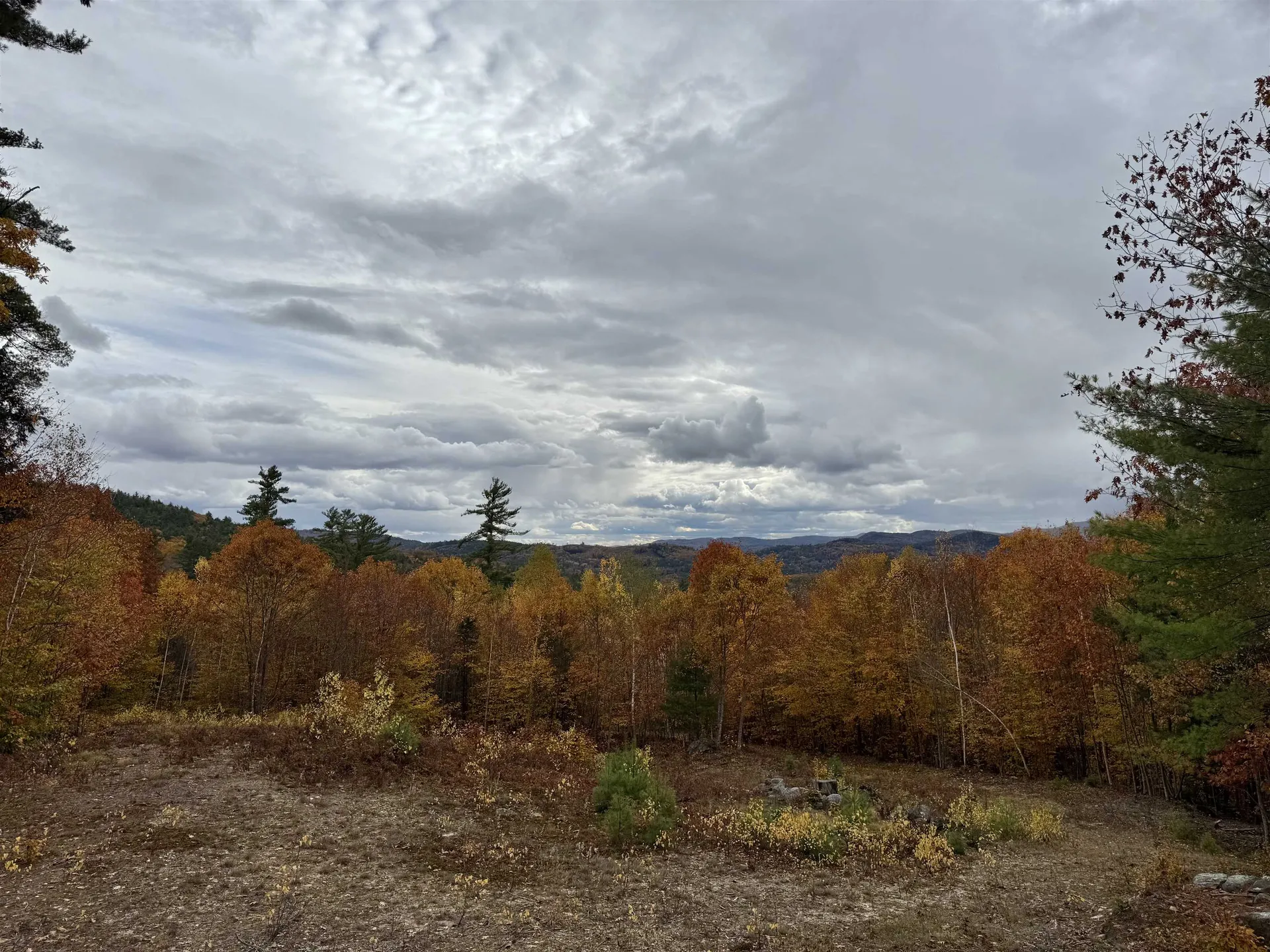 Lots 1 & 2 Hall Road Bristol NH 03222