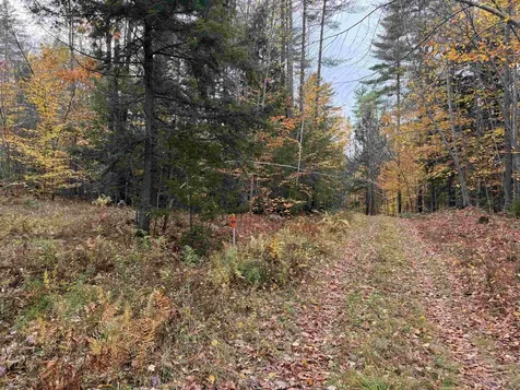 Lots 1 & 2 Hall Road Bristol NH 03222