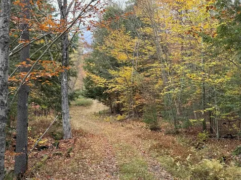 Lots 1 & 2 Hall Road Bristol NH 03222