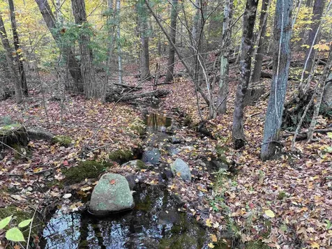 Lots 1 & 2 Hall Road Bristol NH 03222