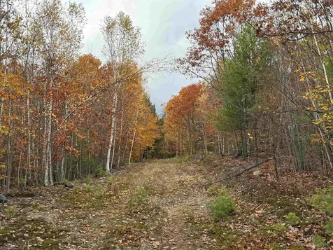 Lots 1 & 2 Hall Road Bristol NH 03222