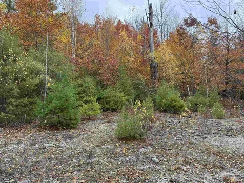 Lots 1 & 2 Hall Road Bristol NH 03222