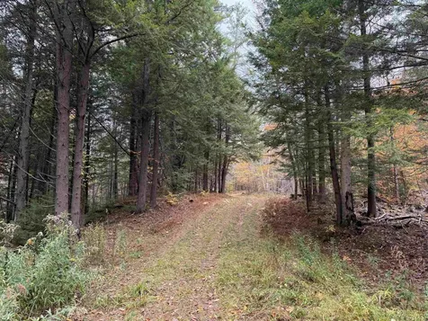 Lots 1 & 2 Hall Road Bristol NH 03222