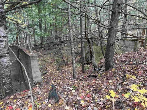 Lots 1 & 2 Hall Road Bristol NH 03222