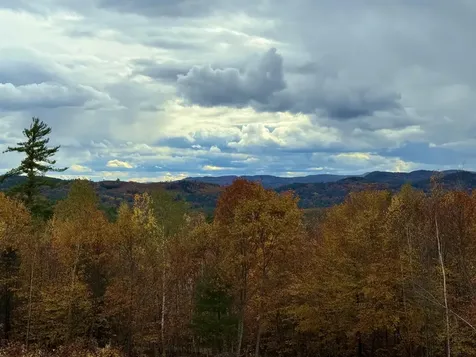 Lots 1 & 2 Hall Road Bristol NH 03222