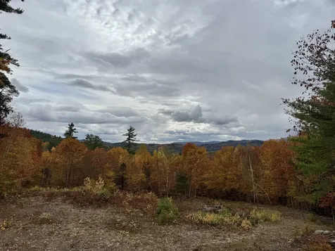 Lots 1 & 2 Hall Road Bristol NH 03222