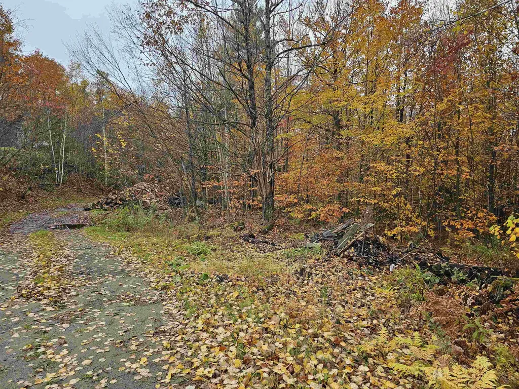 115 Prior Road Cavendish VT 05142