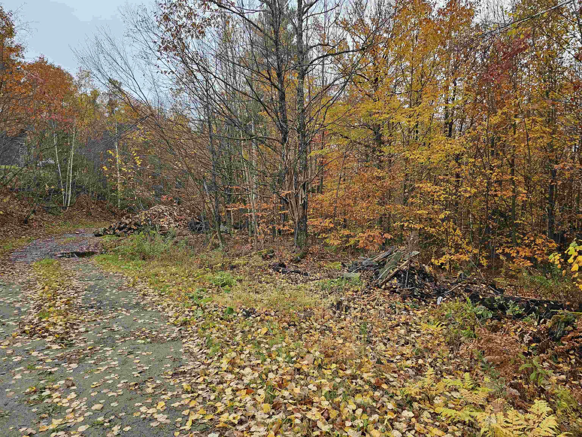 115 Prior Road Cavendish VT 05142