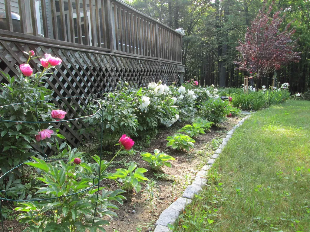 698 Nh Route 123 Sharon NH 03458