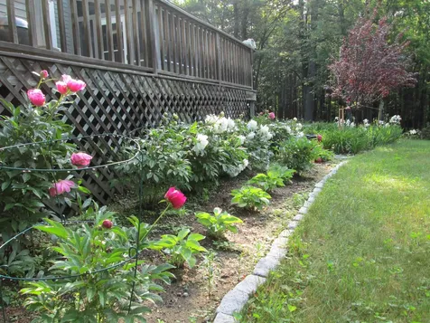698 Nh Route 123 Sharon NH 03458