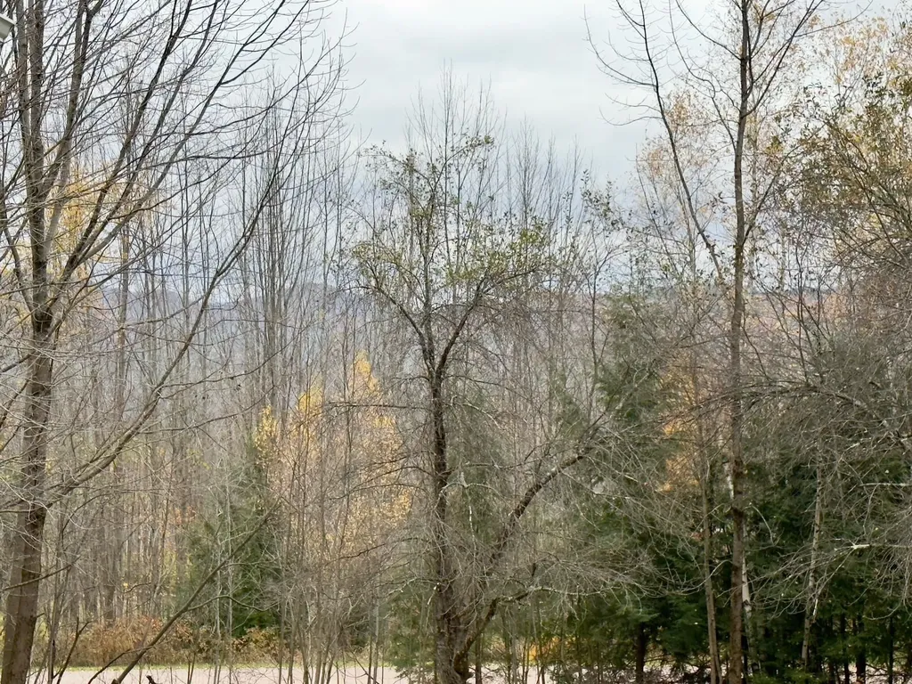 43 Stonefence Road Richmond VT 05477