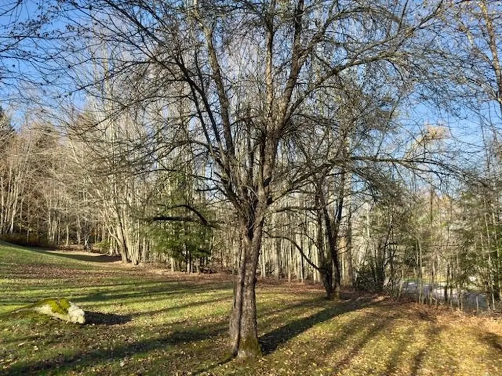 43 Stonefence Road Richmond VT 05477