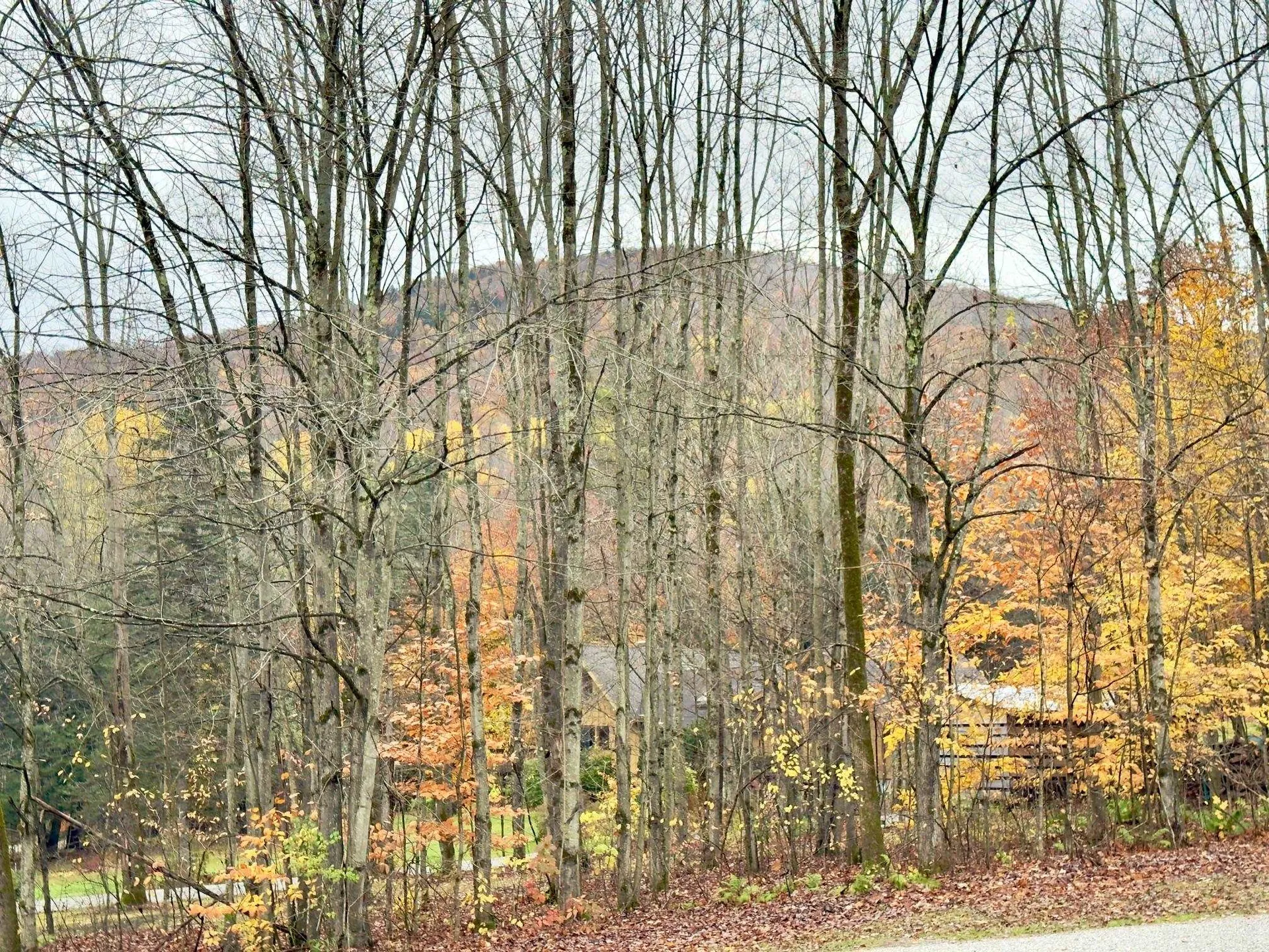 43 Stonefence Road Richmond VT 05477