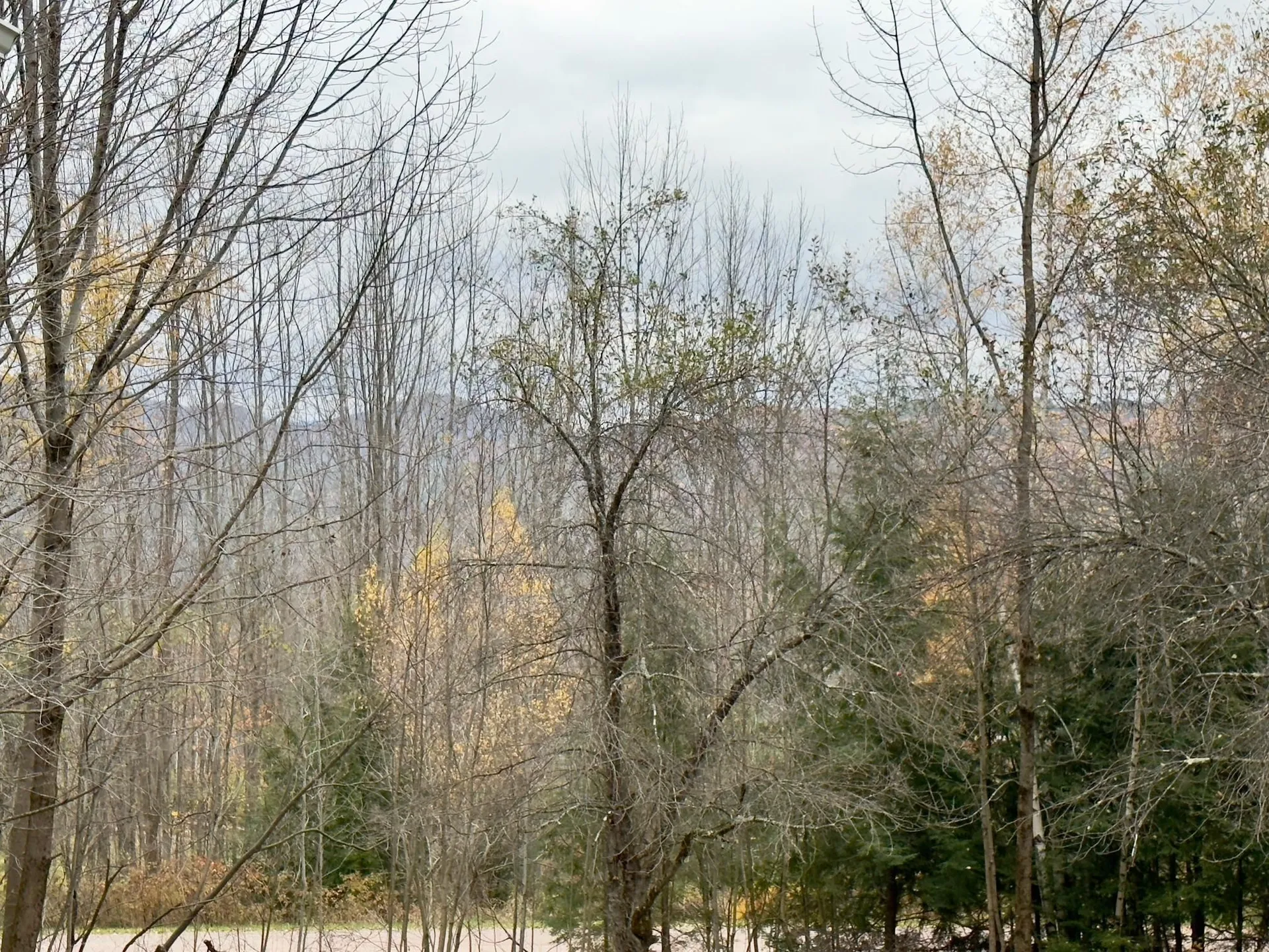 43 Stonefence Road Richmond VT 05477