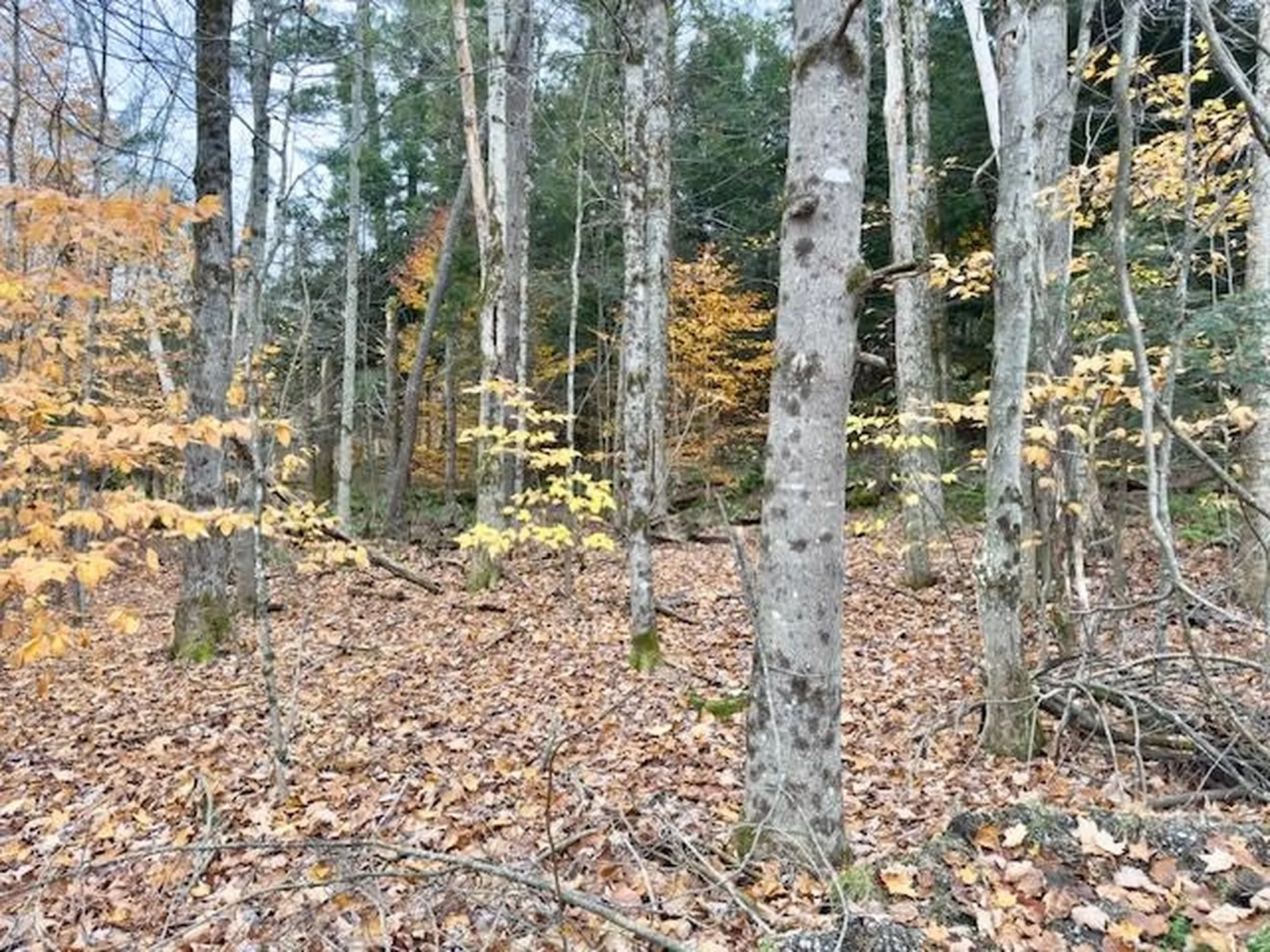 43 Stonefence Road Richmond VT 05477