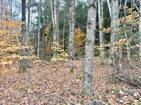 43 Stonefence Road Richmond VT 05477