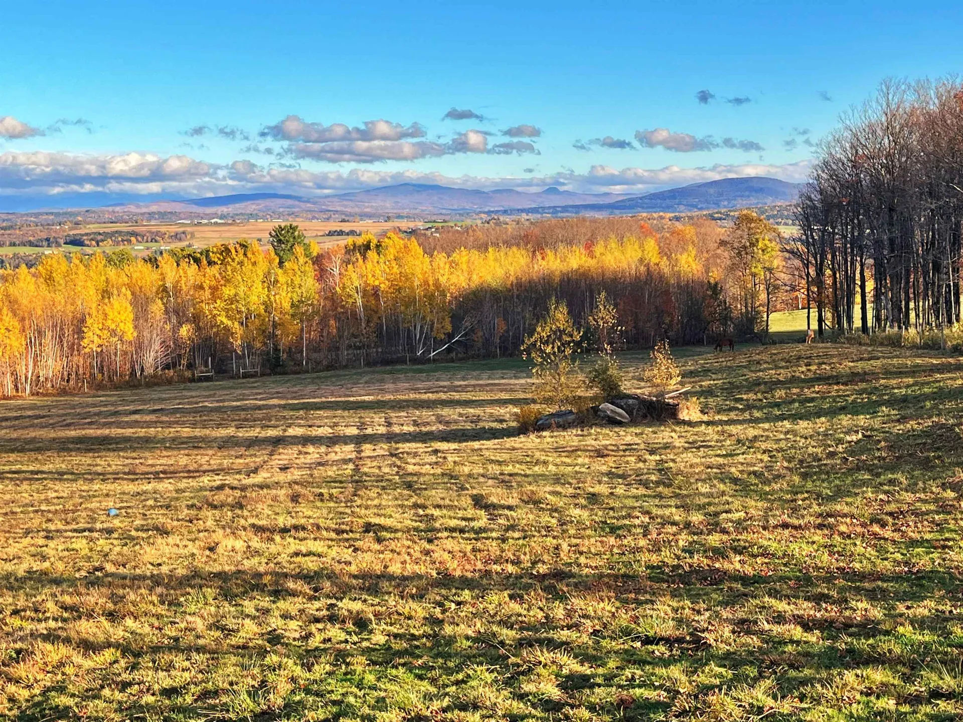 0 Poutre Drive Irasburg VT 05845