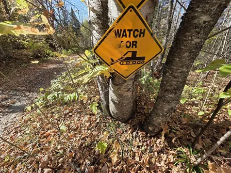 Off Washburn Road Columbia NH 03576