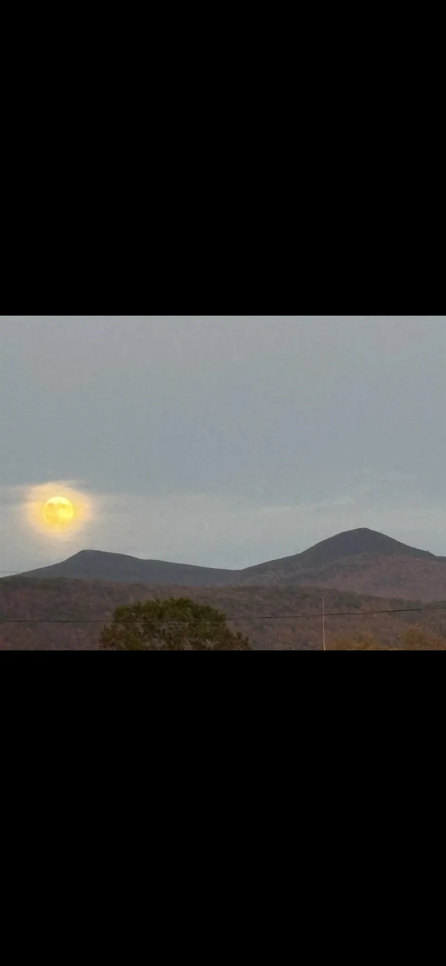 98 Forest Street Rutland City VT 05701