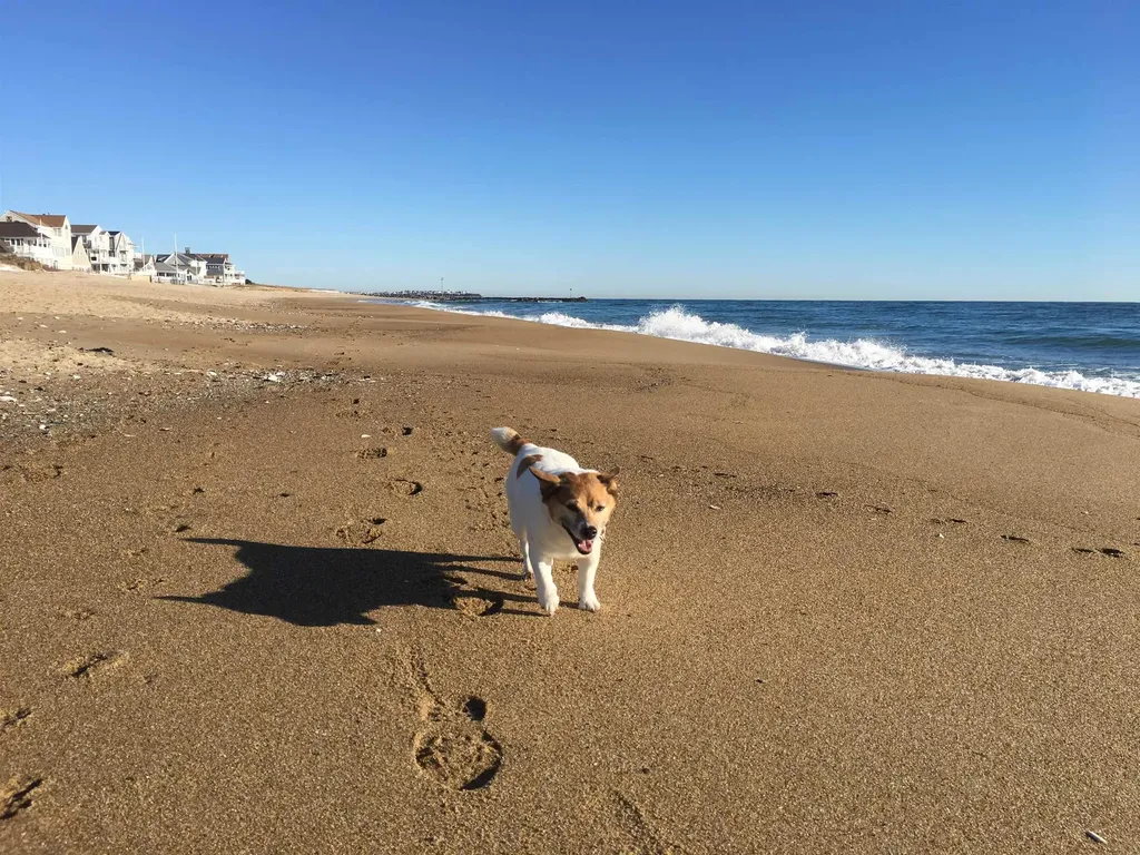 28 Brooks Road Extension Seabrook NH 03874