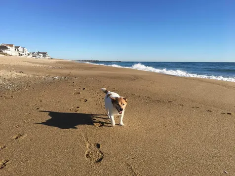 28 Brooks Road Extension Seabrook NH 03874