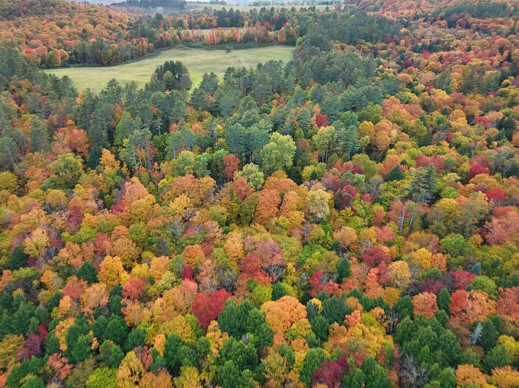 000 Darling Hill Road Lyndon VT 05849