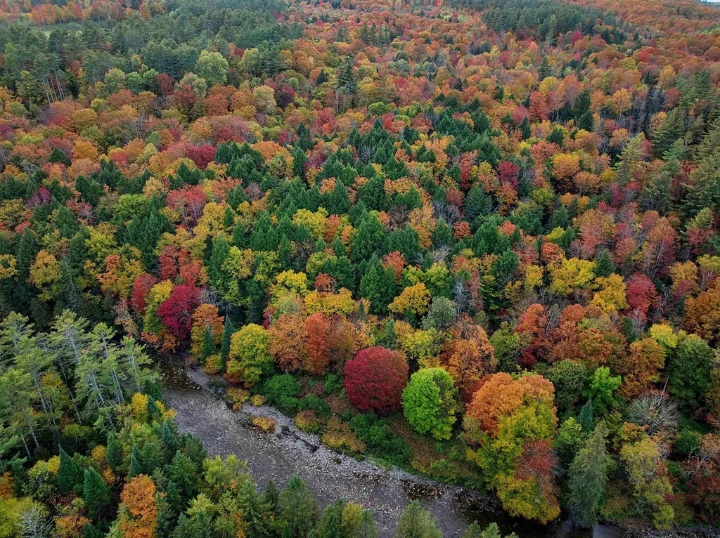 000 Darling Hill Road Lyndon VT 05849