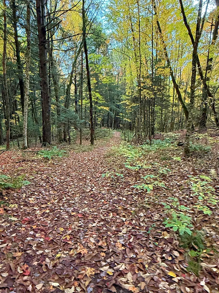 000 Darling Hill Road Lyndon VT 05849