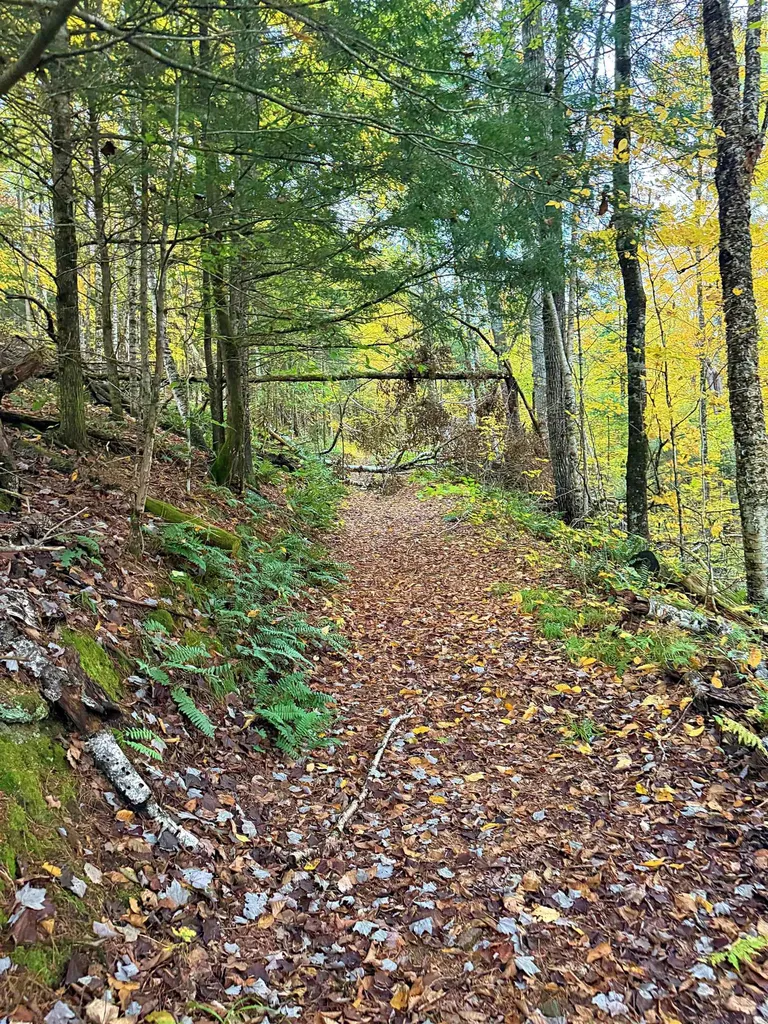 000 Darling Hill Road Lyndon VT 05849