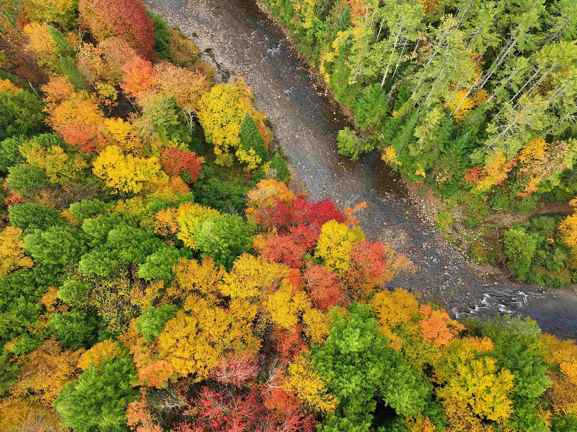 000 Darling Hill Road Lyndon VT 05849