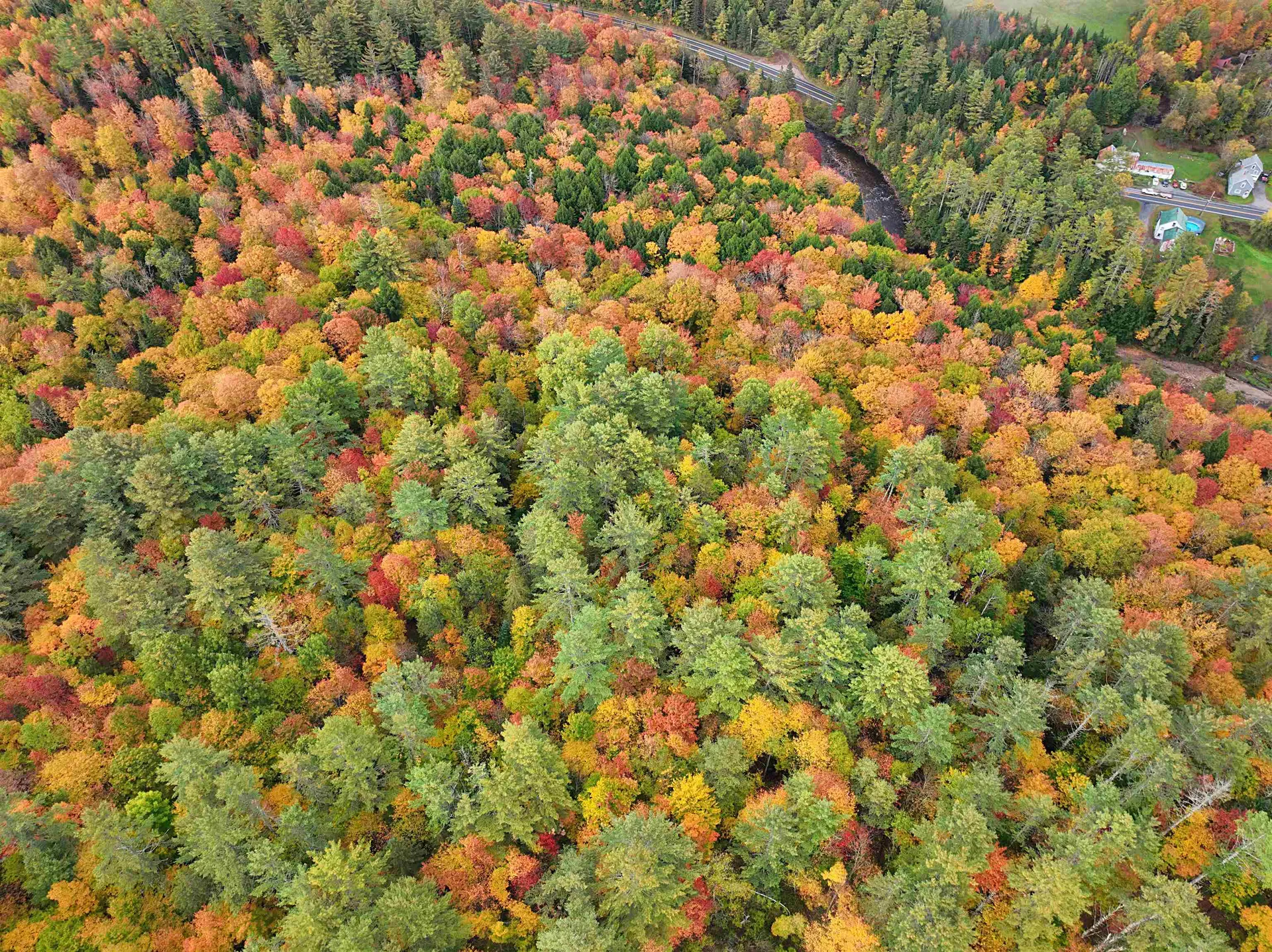 000 Darling Hill Road Lyndon VT 05849