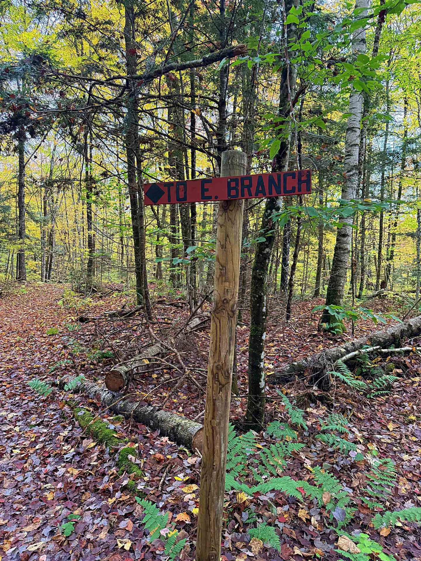 000 Darling Hill Road Lyndon VT 05849