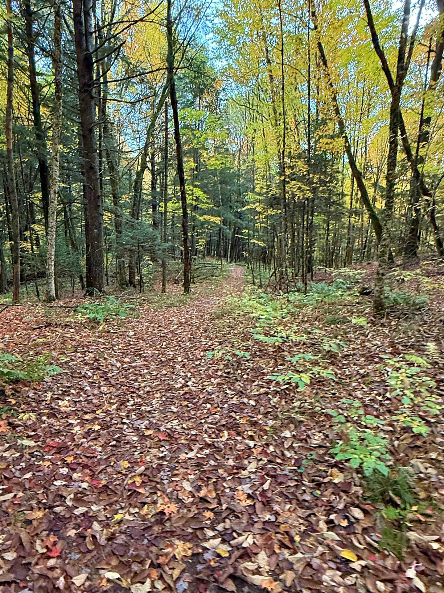 000 Darling Hill Road Lyndon VT 05849