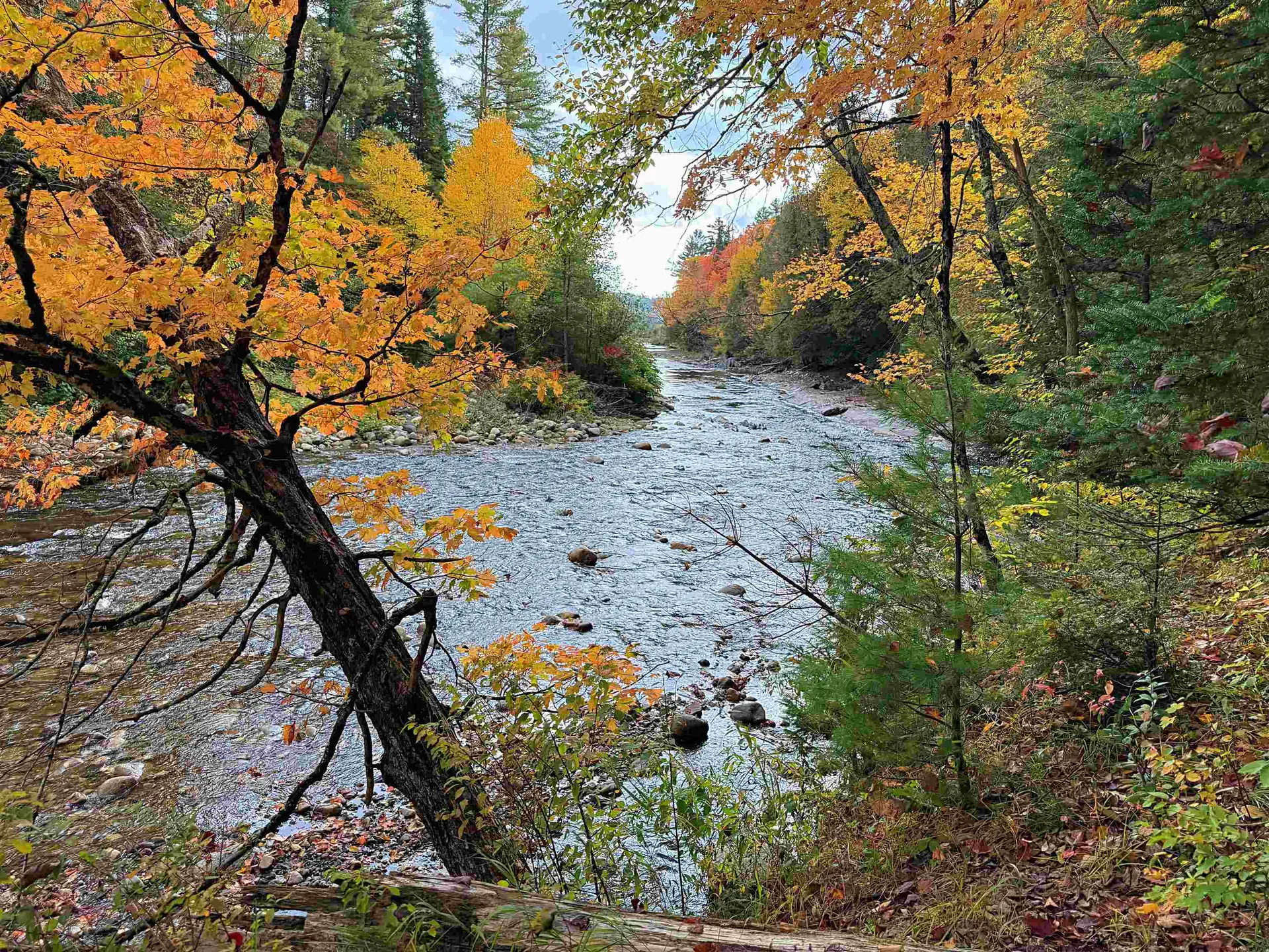 000 Darling Hill Road Lyndon VT 05849