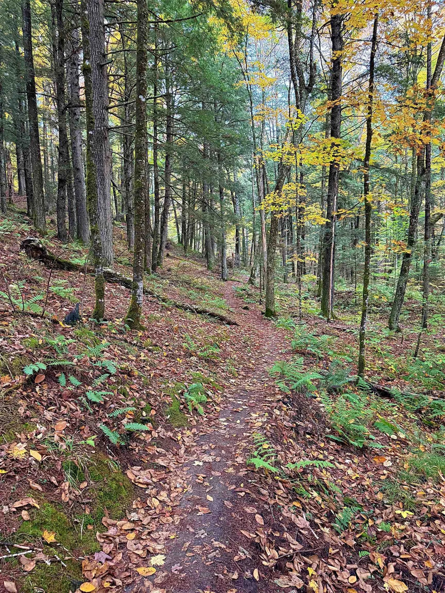 000 Darling Hill Road Lyndon VT 05849