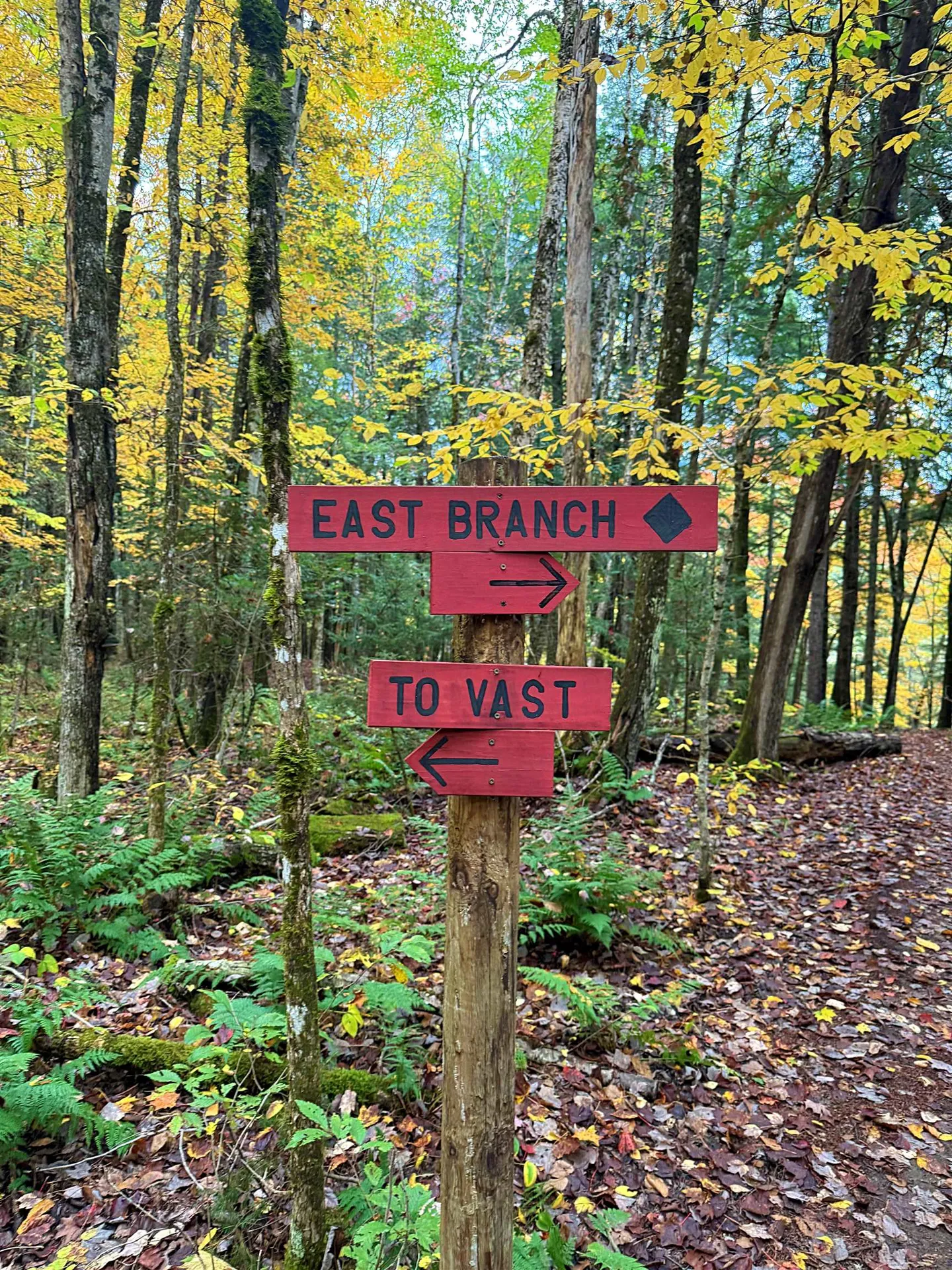 000 Darling Hill Road Lyndon VT 05849