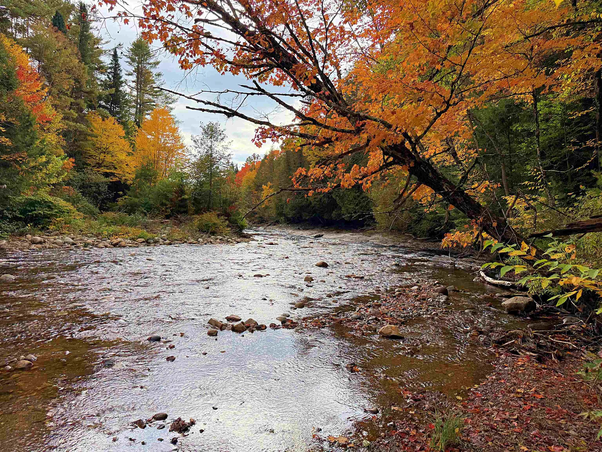 000 Darling Hill Road Lyndon VT 05849