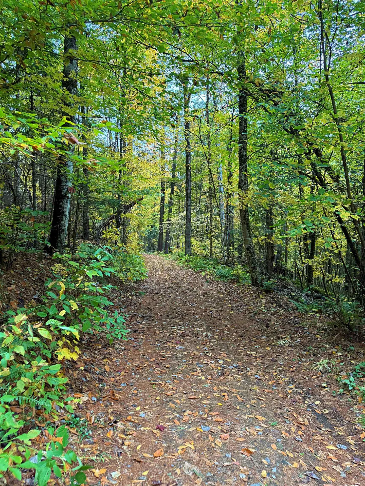 000 Darling Hill Road Lyndon VT 05849