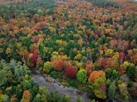 000 Darling Hill Road Lyndon VT 05849