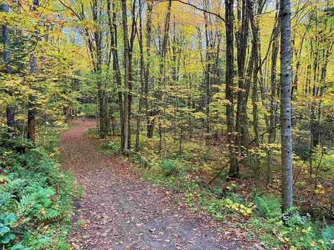 000 Darling Hill Road Lyndon VT 05849