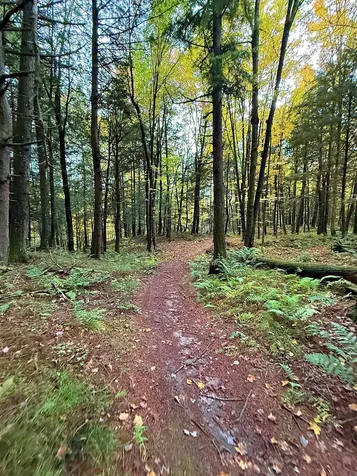 000 Darling Hill Road Lyndon VT 05849