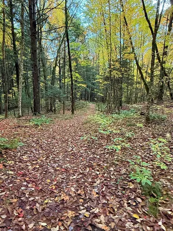 000 Darling Hill Road Lyndon VT 05849