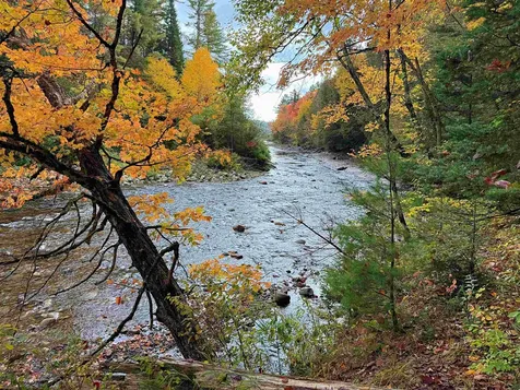 000 Darling Hill Road Lyndon VT 05849