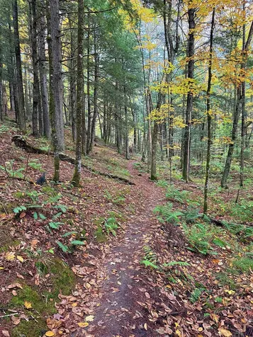 000 Darling Hill Road Lyndon VT 05849