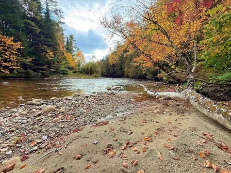 000 Darling Hill Road Lyndon VT 05849