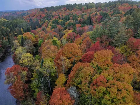 000 Darling Hill Road Lyndon VT 05849