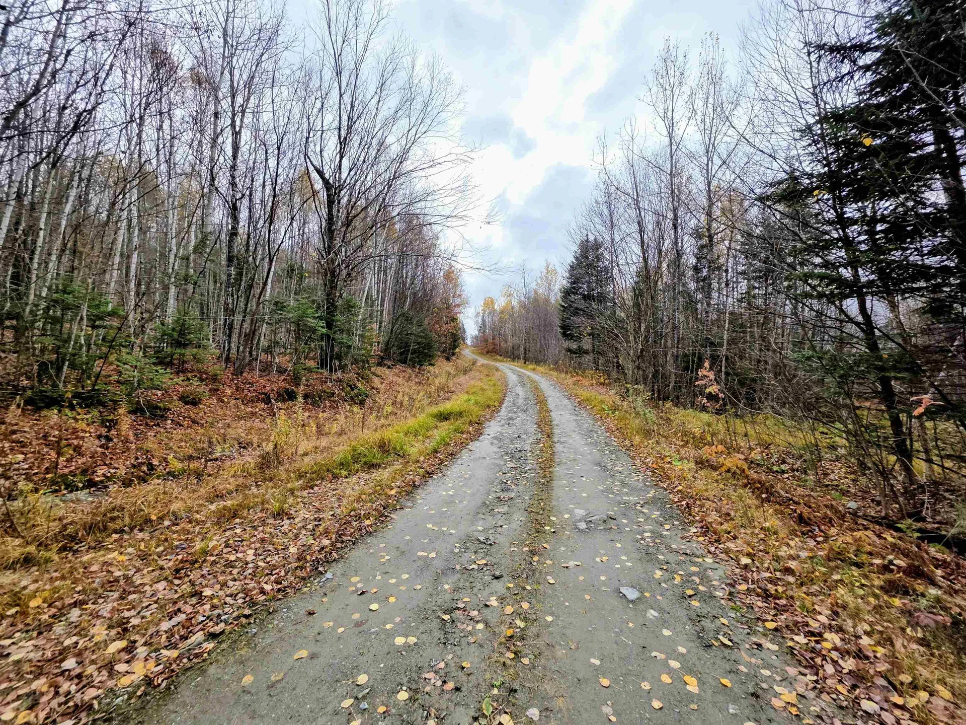 Washburn Road Columbia NH 03576